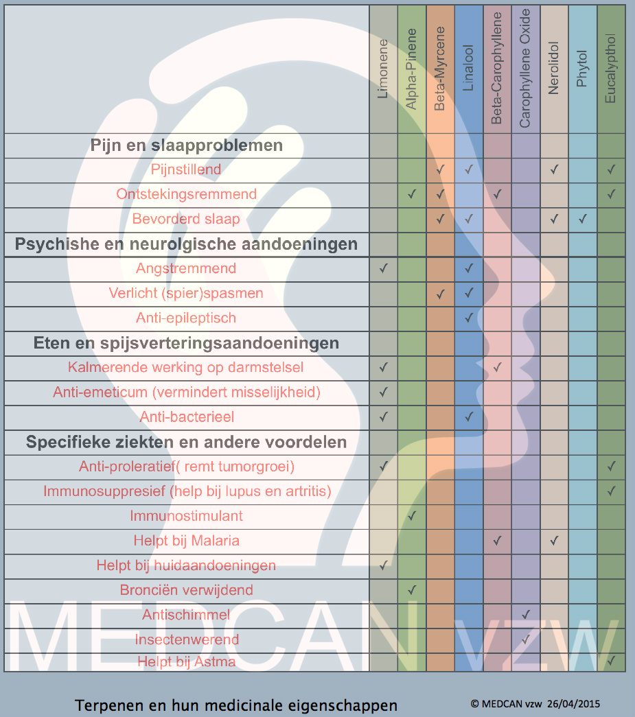 medcan