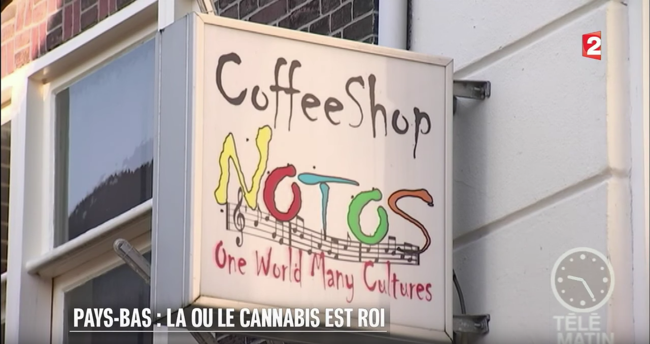 coffeeshop Notos